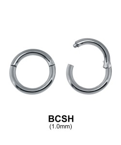 Segment Ring BCSH 1.0mm