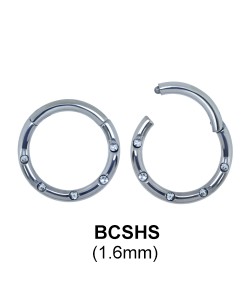 Segment Ring BCSHS 1.6mm