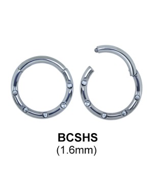 Segment Ring BCSHS 1.6mm