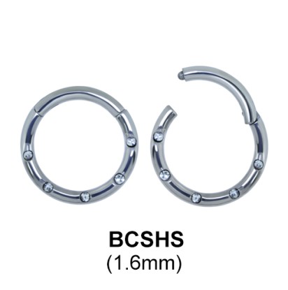 Segment Ring BCSHS 1.6mm