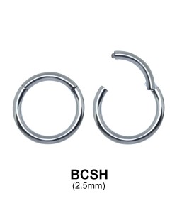 Segment Ring BCSH 2.5mm