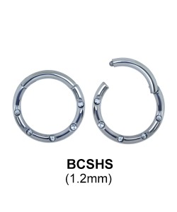 Segment Ring BCSHS 1.2mm