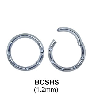 Segment Ring BCSHS 1.2mm