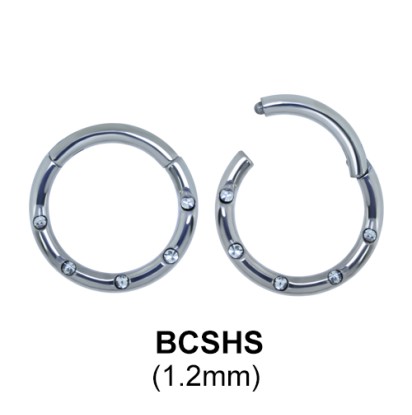 Segment Ring BCSHS 1.2mm