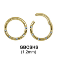 Segment Ring BCSHS 1.2mm