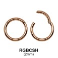 Segment Ring BCSH 2.0mm