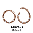 Segment Ring BCSHS 1.2mm