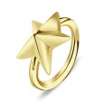 Big Star Belly Piercing Closure Ring DCRT-14b
