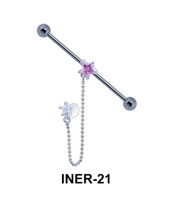 Industrial Chain with Star Shaped INER-21 