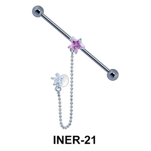 Industrial Chain with Star Shaped INER-21 