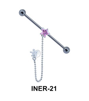 Industrial Chain with Star Shaped INER-21 