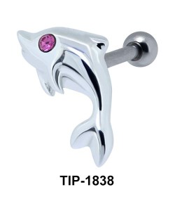 Dolphin Helix Ear Piercing TIP-1838