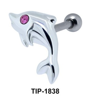 Dolphin Helix Ear Piercing TIP-1838