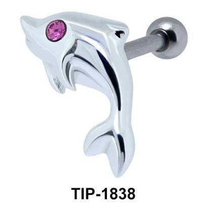 Dolphin Helix Ear Piercing TIP-1838