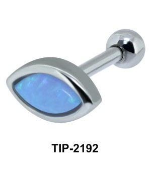 Upper Ear Piercing TIP-2192