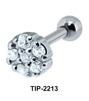 Ear Piercing TIP-2213