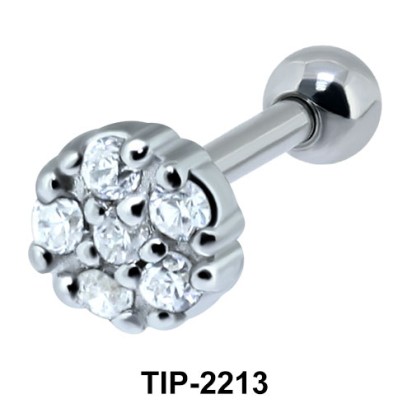 Ear Piercing TIP-2213