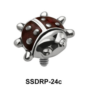 Ladybird Internal Attachment SSDRP-24C