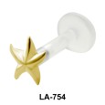 Star Fish Shaped Labrets Push-in LA-754