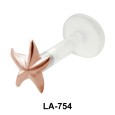 Star Fish Shaped Labrets Push-in LA-754