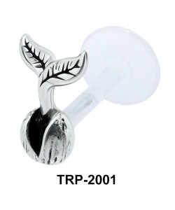 Seed with Shoot Tragus Piercing TRP-2001