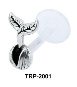 Seed with Shoot Tragus Piercing TRP-2001