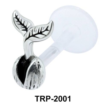 Seed with Shoot Tragus Piercing TRP-2001