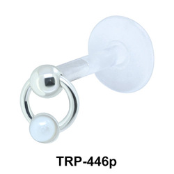 Circular Ring Tragus Piercing TRP-446p