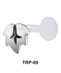 Inverted Leaf Tragus Piercing TRP-69