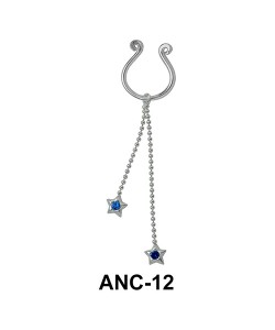 Double Stars Nipple Clip ANC-12