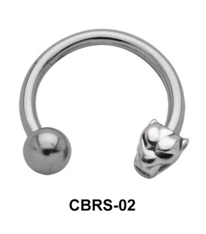 Tiger Nipple Circular barbell CBRS-02