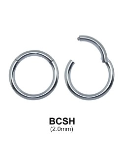 Segment Ring BCSH 2.0mm