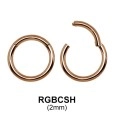 Segment Ring BCSH 2.0mm