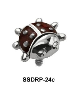 Ladybird Internal Attachment SSDRP-24C