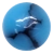 Blue Turquoise
